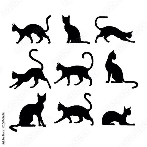 Obraz Cat silhouettes set, large pack of vector silhouette design, isolated white background
