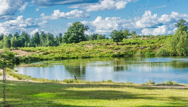 Obraz beautiful forest pond landscape