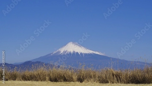 Fototapeta 【静岡】三保半島からの富士山
