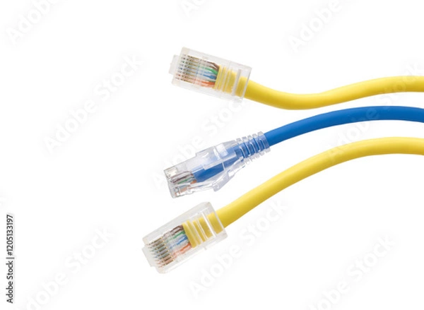 Obraz Multi colored network cables with molded RJ45 plug on transparent background (PNG File)
