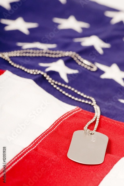 Obraz American Dog Tags