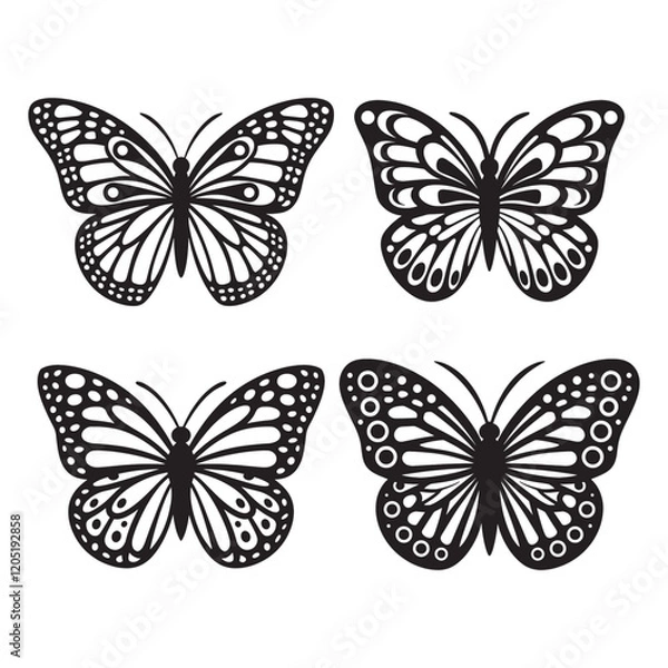 Obraz Silhouette Butterfly vector image in white background