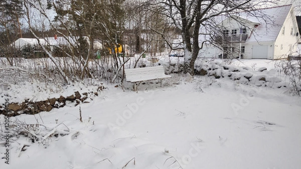 Obraz Winter landscape - frosty trees in winter forest in cold weather. Calm winter forest nature under snowfall in cloudy day

