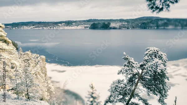 Obraz a winter landscape where a beautiful lake stretches across the scene. The center of the lake is still open water, reflecting the gray winter sky and the snow-covered trees that line its edges. On one 