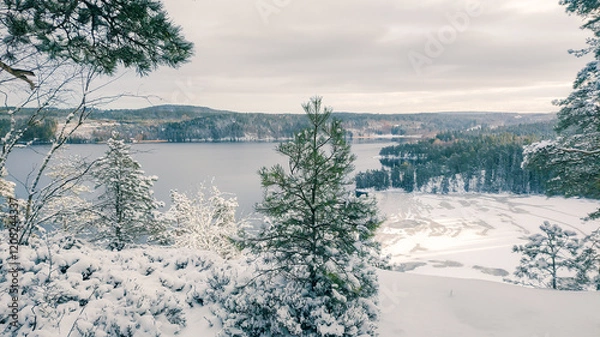 Obraz a winter landscape where a beautiful lake stretches across the scene. The center of the lake is still open water, reflecting the gray winter sky and the snow-covered trees that line its edges. On one 