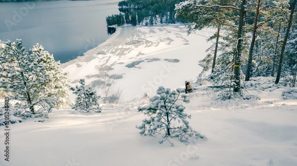 Obraz a winter landscape where a beautiful lake stretches across the scene. The center of the lake is still open water, reflecting the gray winter sky and the snow-covered trees that line its edges. On one 