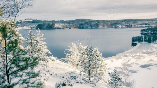 Obraz a winter landscape where a beautiful lake stretches across the scene. The center of the lake is still open water, reflecting the gray winter sky and the snow-covered trees that line its edges. On one 