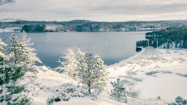 Obraz a winter landscape where a beautiful lake stretches across the scene. The center of the lake is still open water, reflecting the gray winter sky and the snow-covered trees that line its edges. On one 