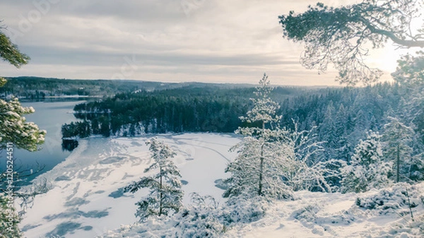 Obraz a winter landscape where a beautiful lake stretches across the scene. The center of the lake is still open water, reflecting the gray winter sky and the snow-covered trees that line its edges. On one 