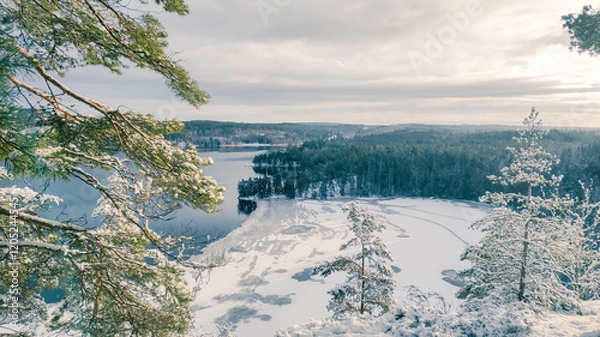 Obraz a winter landscape where a beautiful lake stretches across the scene. The center of the lake is still open water, reflecting the gray winter sky and the snow-covered trees that line its edges. On one 