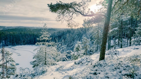 Obraz a winter landscape where a beautiful lake stretches across the scene. The center of the lake is still open water, reflecting the gray winter sky and the snow-covered trees that line its edges. On one 