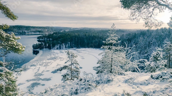 Obraz a winter landscape where a beautiful lake stretches across the scene. The center of the lake is still open water, reflecting the gray winter sky and the snow-covered trees that line its edges. On one 