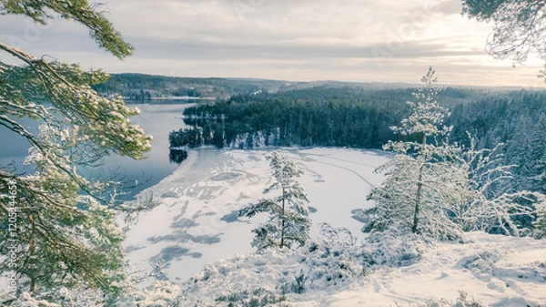 Obraz a winter landscape where a beautiful lake stretches across the scene. The center of the lake is still open water, reflecting the gray winter sky and the snow-covered trees that line its edges. On one 