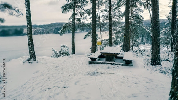 Obraz a winter landscape where a beautiful lake stretches across the scene. The center of the lake is still open water, reflecting the gray winter sky and the snow-covered trees that line its edges. On one 