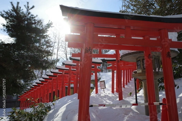 Fototapeta 冬景色に映える千本鳥居