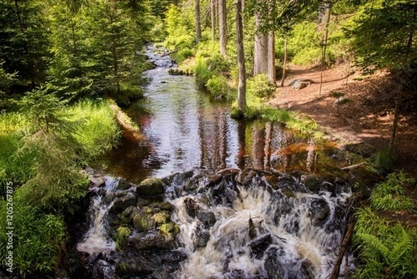 Obraz A beautiful scenery of the Losenice river in forest at Sumava national park