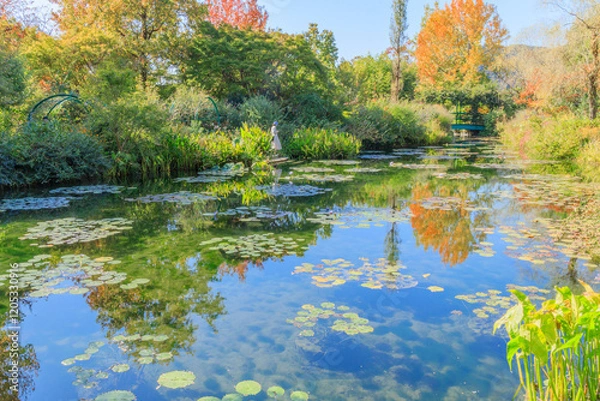 Obraz 睡蓮が浮かぶ池の水辺を散策