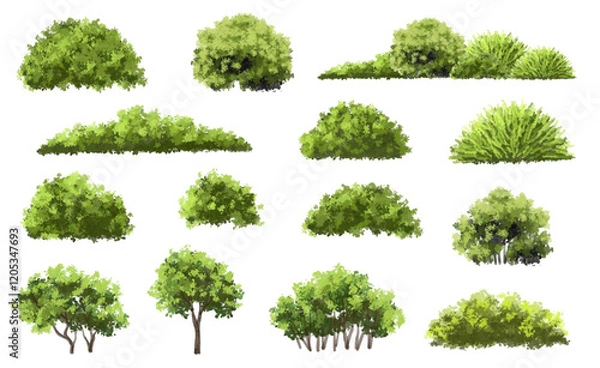 Fototapeta  Vector watercolor green  tree or forest side view isolated on white background for landscape and architecture drawing,elements for environment or and garden,Shrub for section
