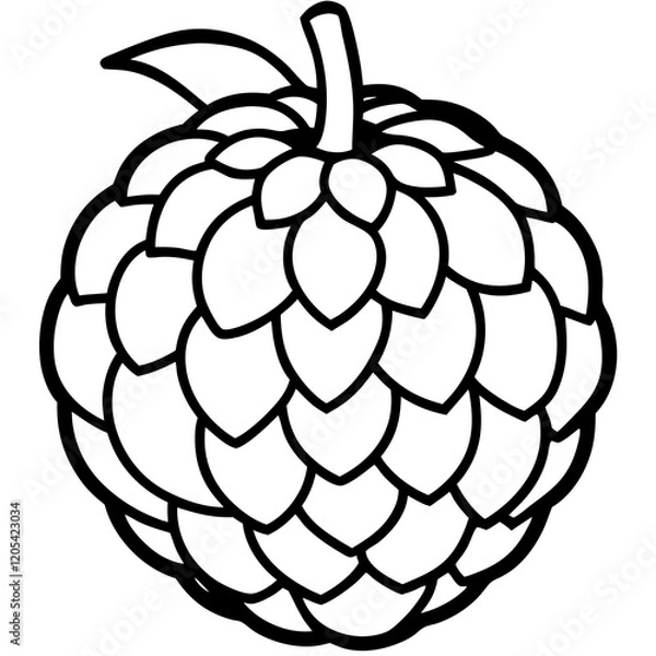 Fototapeta Vibrant Balsam Apple Vector Graphic