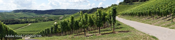 Fototapeta Vineyard and roads
