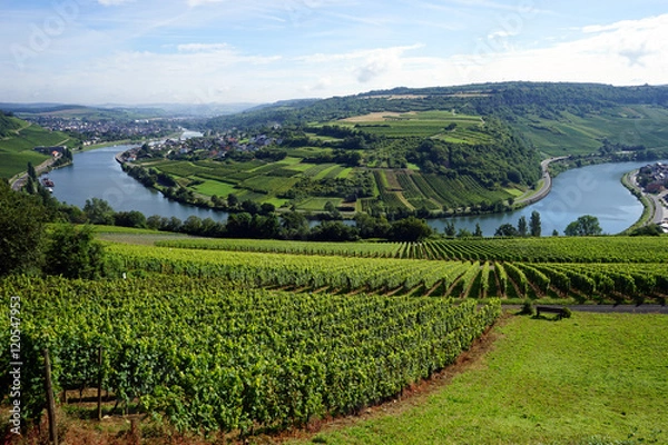 Fototapeta View of Mosel valley