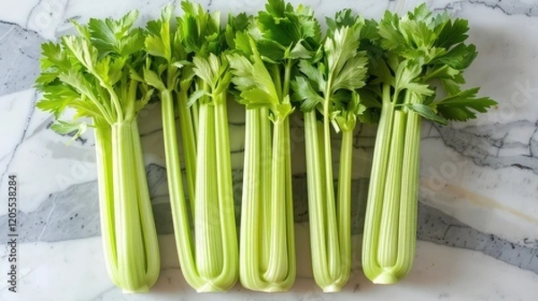 Obraz Crunchy celery, ideal for snacking, adding to soups, or as a flavorful side.