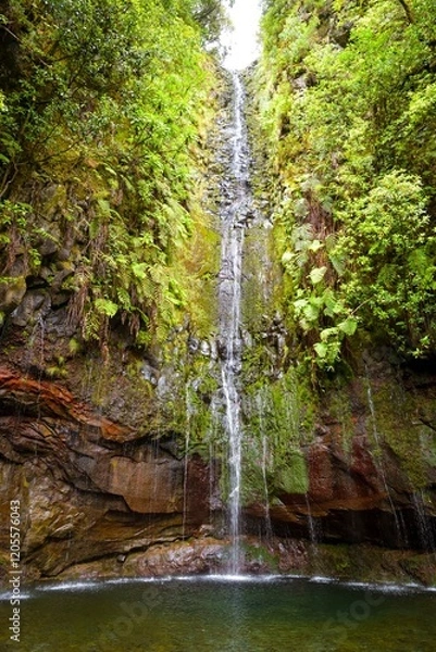 Fototapeta 25 Fontes waterfall at the end of Levada das 25 Fontes trail