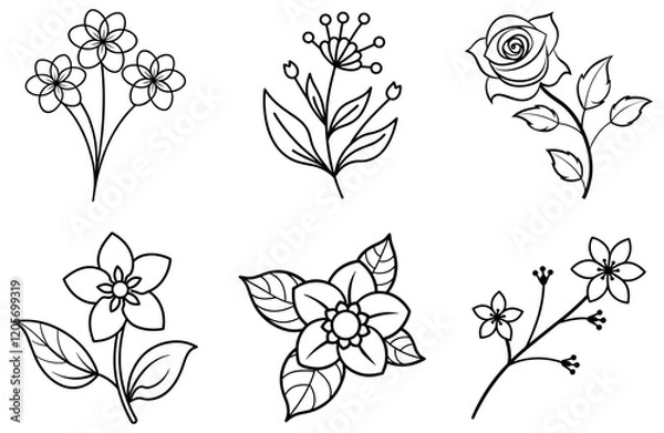 Obraz Set of Floral Vector Illustrations - Elegant Flower Designs for Graphics and Crafts