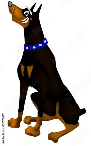 Fototapeta доберман сидит