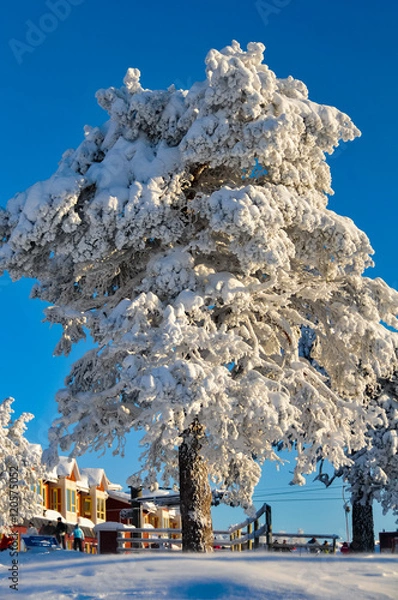 Obraz Sälen, Sverige - skiing