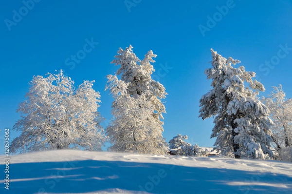 Obraz Sälen, Sverige - skiing