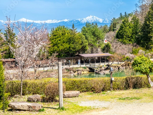 Fototapeta Gassho-zukuri settlement, building in Gifu style, old classic house style in Gifu area of Japan, for durable and protection from cold in winter 