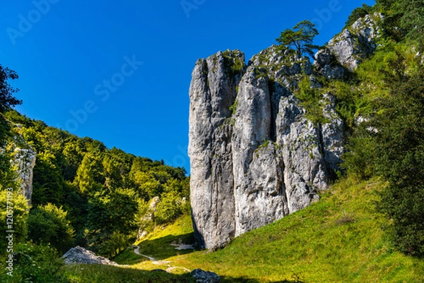 Fototapeta Dolina Bolechowicka Valley with Brama Bolechowicka Gate rocks of Cracow Valleys landscape park within Cracow-Czestochowa Jurassic natural reserve in Lesser Poland