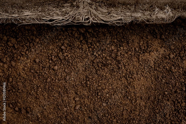 Obraz Soil texture background