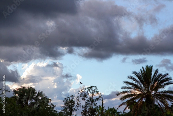 Obraz Cloudy Skies in a Tropical Setting