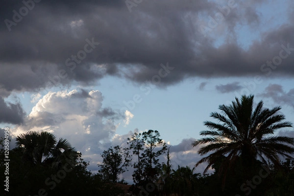 Obraz Cloudy Skies in a Tropical Setting