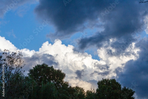 Obraz Cloudy Skies in a Tropical Setting