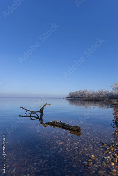 Obraz Chiemsee Winter