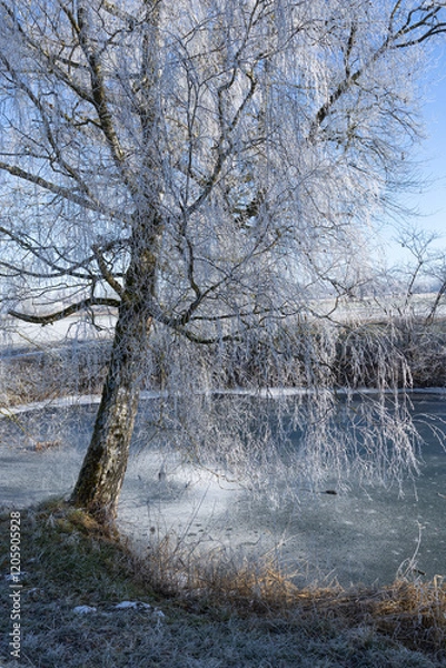 Obraz Chiemsee Winter