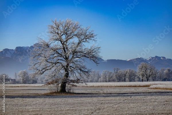 Obraz Chiemsee Winter