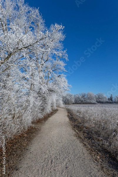 Obraz Chiemsee Winter