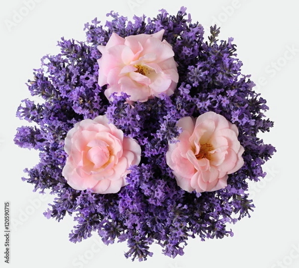 Obraz Top view of bouquet of pink roses and purple lavenders flowers on a white background. Colorful summer bouquet of garden roses and lavandula flowers. Photo from above.