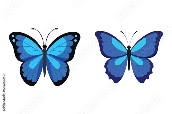 Obraz  blue morpho butterfly insect vector illustration set.