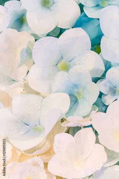 Fototapeta Colorful flowers paper background pattern lovely style.