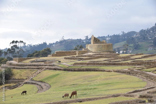 Fototapeta Ingapirca, the largest Inca site in Ecuador