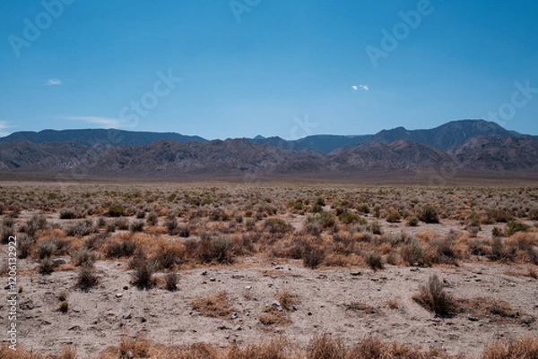 Obraz along the desert highway, nevada, usa