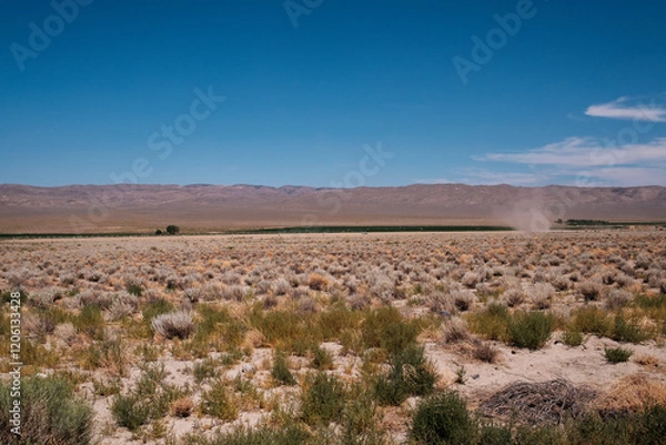 Obraz along the desert highway, nevada, usa