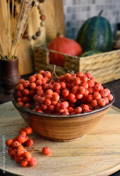 Fototapeta Rowan berries ( Mountain ash berries) in a bowl on kitchen counter. Rowan fruits are edible and can be processed to make jams, purees and liqueur,  rich in vitamin C and provitamin A. Close up food.