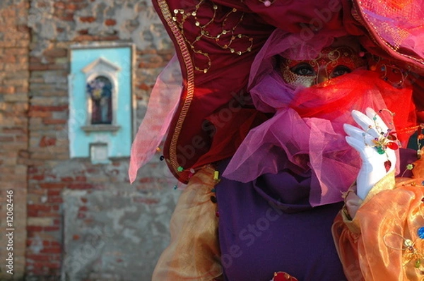 Obraz a lady under a mask