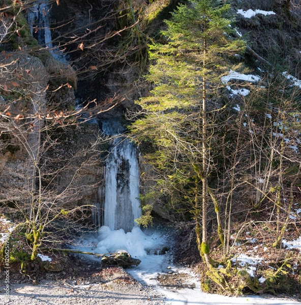 Obraz Eiszapfen im Winter am Bach